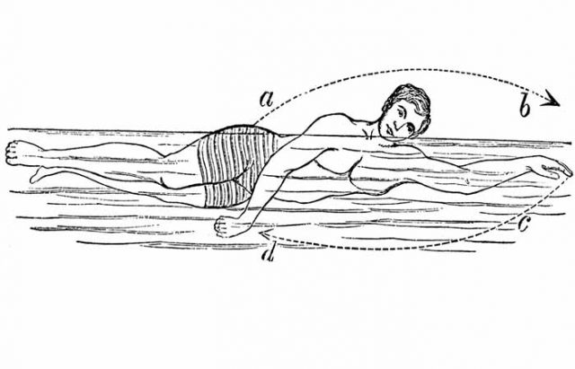 How To Swim Sidestroke Techniquetrudgen Andcombat Drills And Tips Aquaticglee