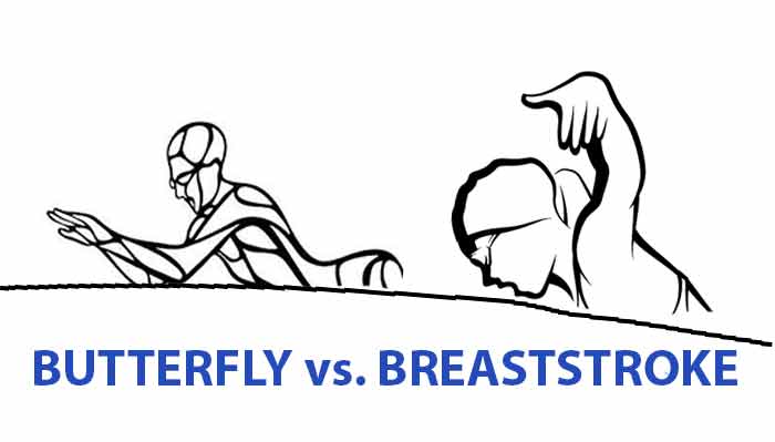 Breaststroke vs Butterfly  Swimming
