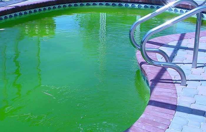 How to remove algae stains from swimming pool bottom and walls
