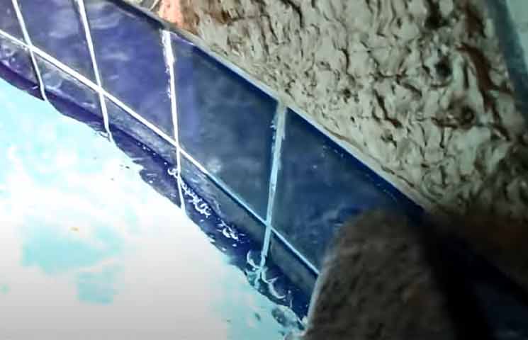 Cleaning Pool Tiles