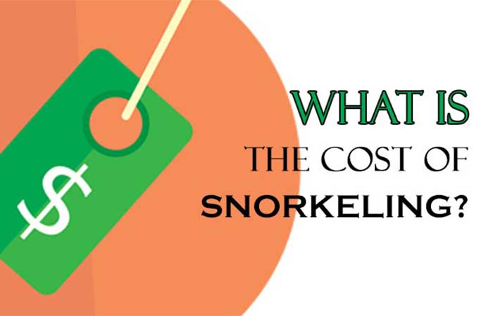 How Much Does Snorkeling Cost? Tours & Excursions Prices +Factors
