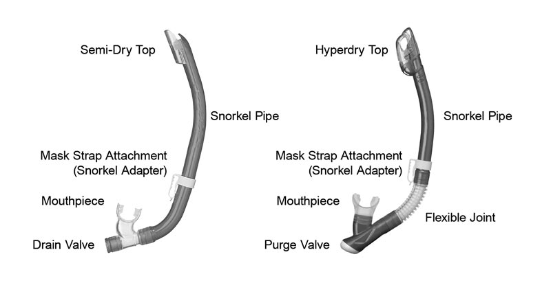 Parts of a snorkel diagram