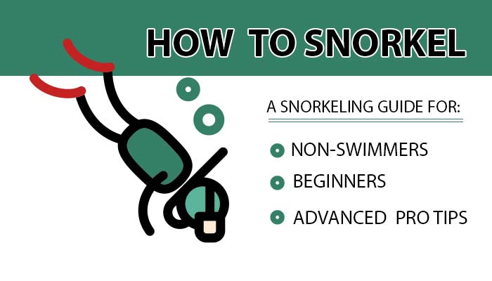 How to Snorkel: Beginner Guide+Snorkeling Tips