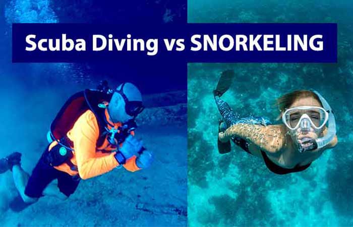 Snorkeling Vs Scuba Diving: Differences & Similarities
